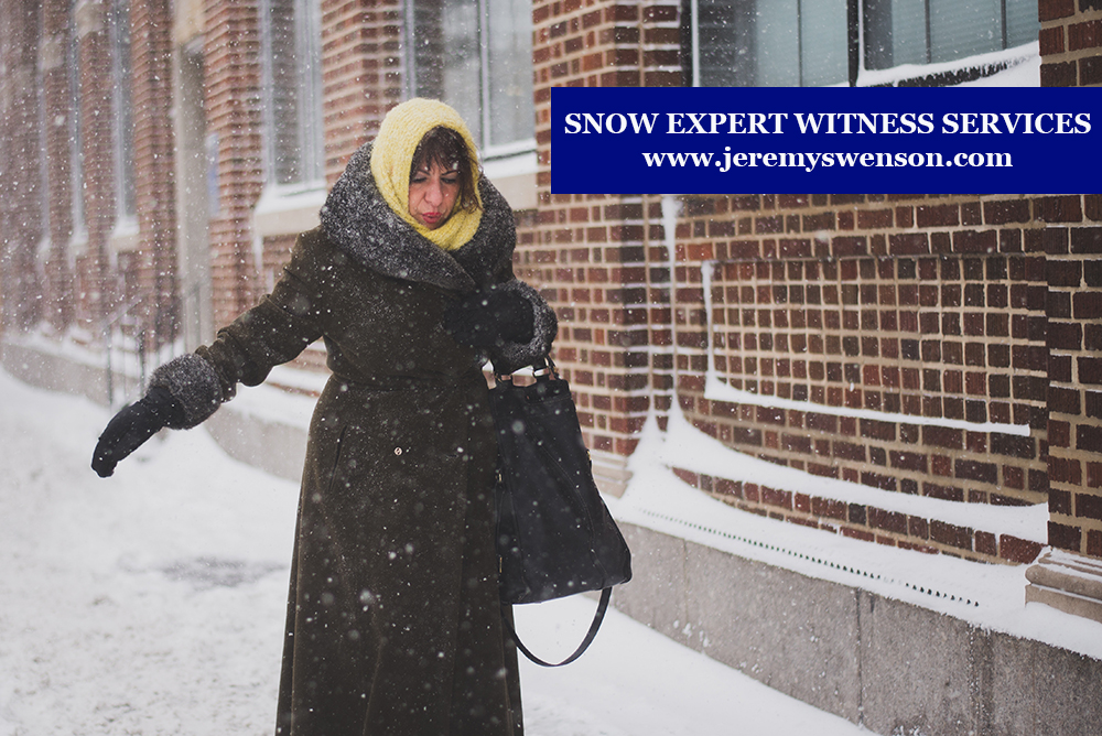 Snow Expert Witness Services