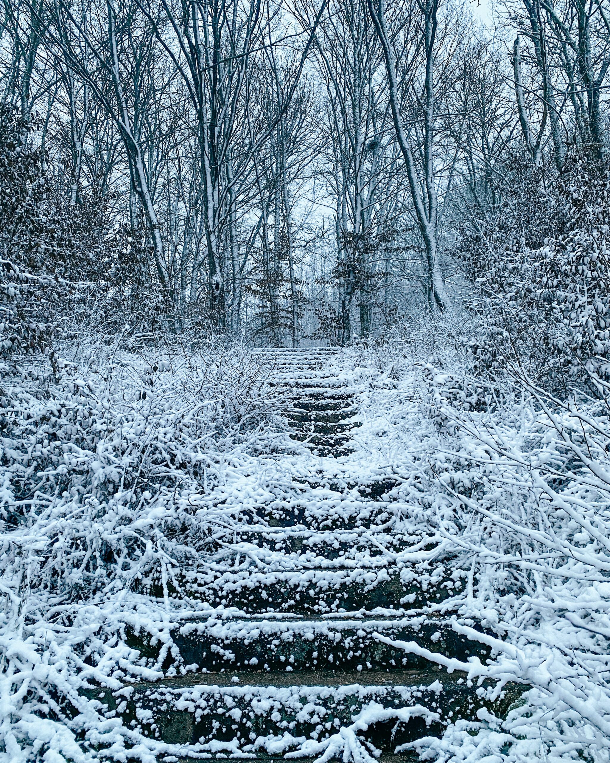 Fresh Snow or Ice! Preventing a Slip Fall on Slippery Stairs