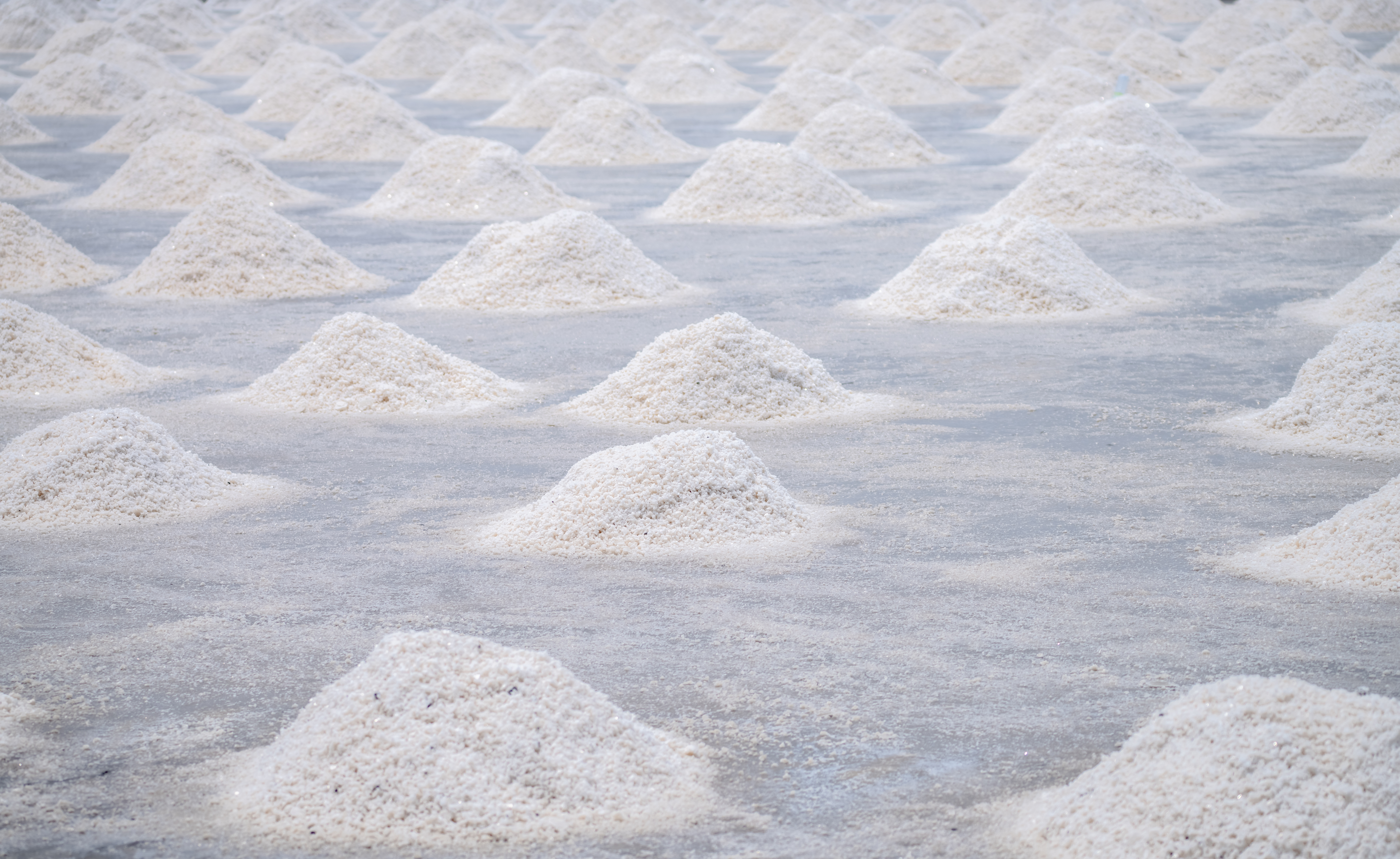 Pros and Cons of Using Salt Brine as a Snow Removal Method